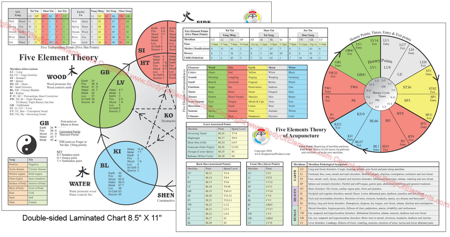 The Five Elements of Acupuncture Chart 8.5" X 11"