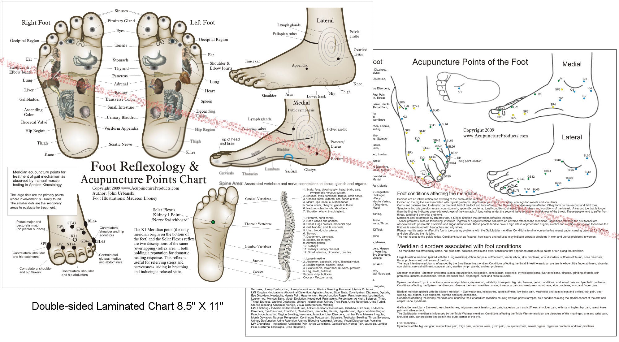 Foot Diagram Pressure Points