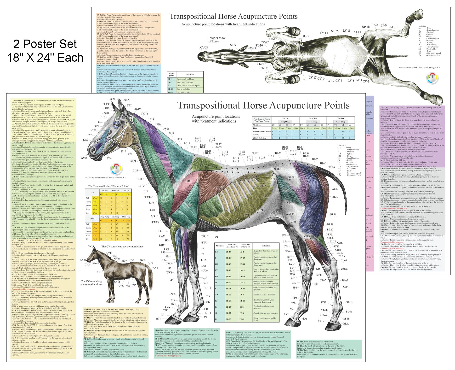 Horse acupuncture point locations posters