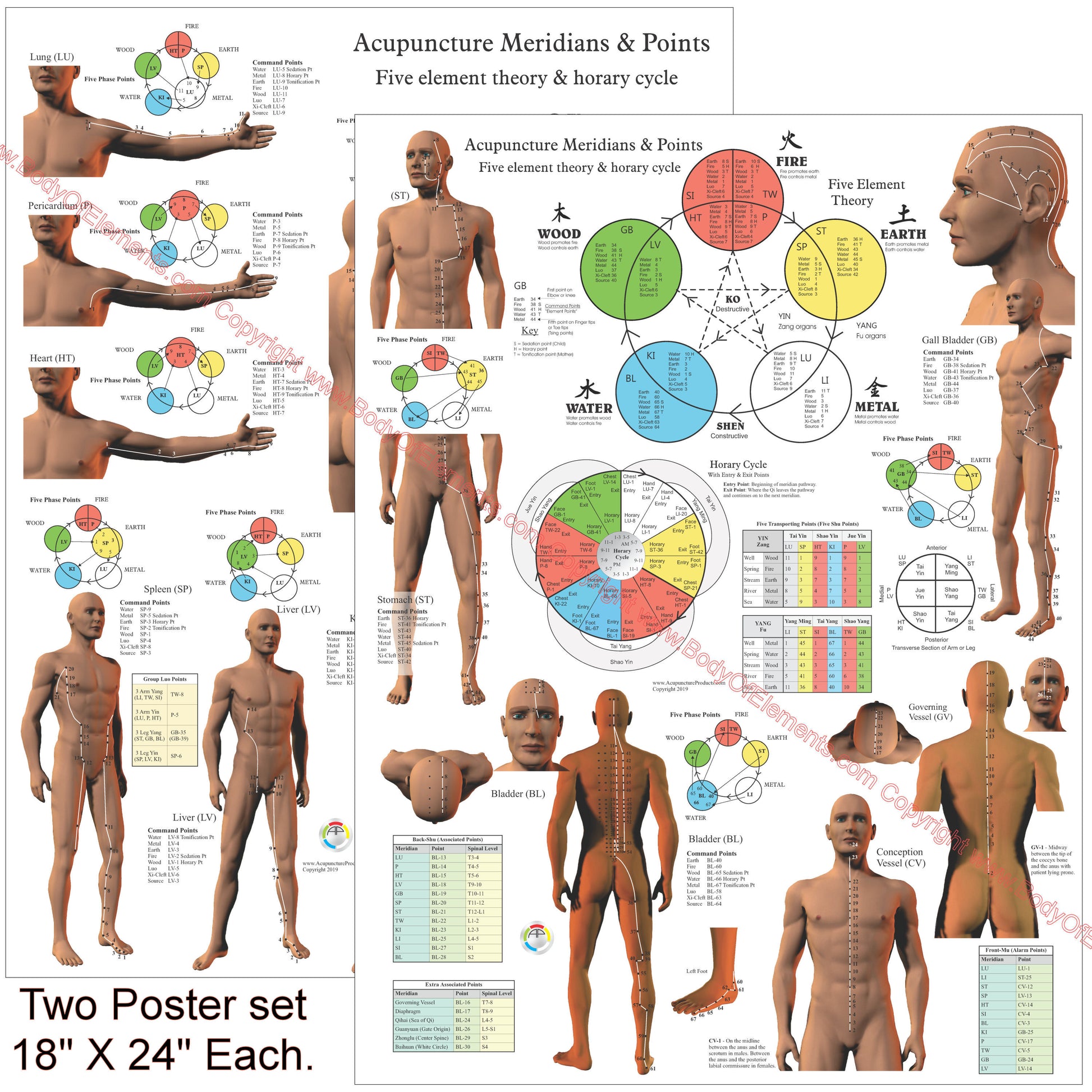 Acupuncture meridians five elements posters