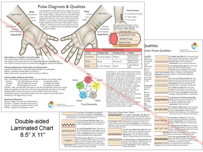 Pulse Diagnosis Acupuncture Chart 8.5" X 11"