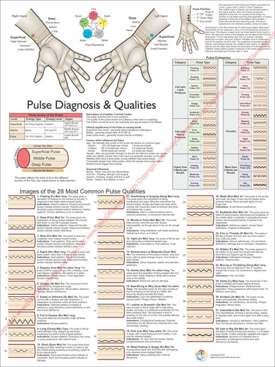 Pulse Diagnosis Acupuncture Poster