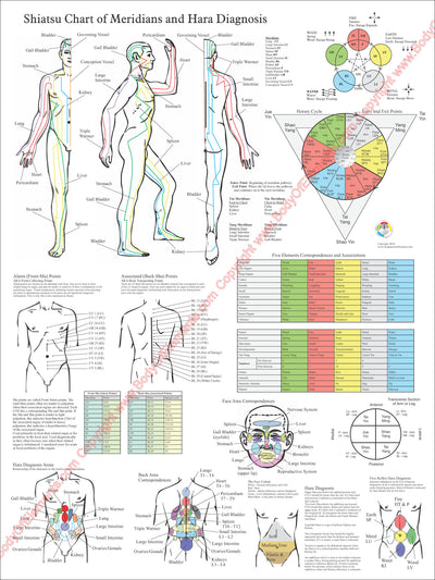 Shiatsu Chart of Meridians and Hara Diagnosis