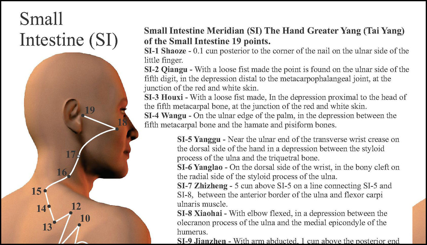 Small Intestine Point Locations Chart