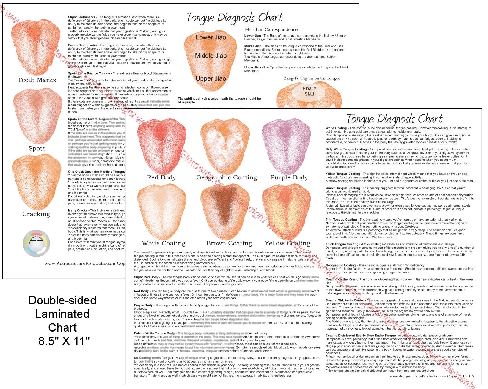 Tongue Diagnosis Diagram Tongue Print Identification Using Deep CNN
