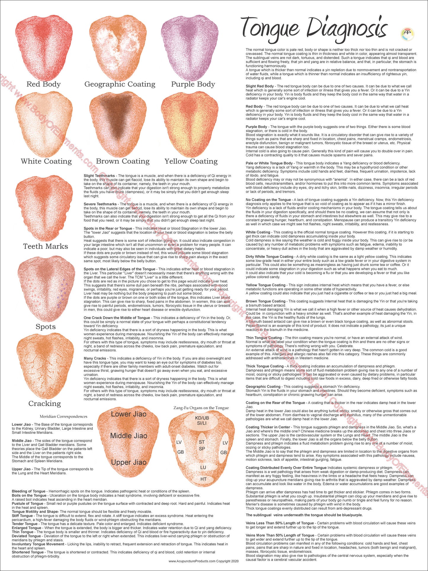 Tongue diagnosis wall chart