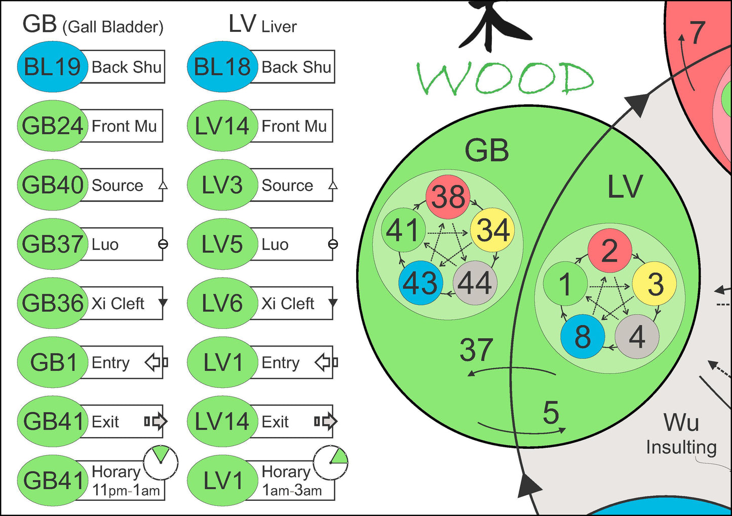Five elements of acupuncture command points