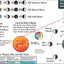 Moon Phases and Lunar Astronomy Calendar Folded