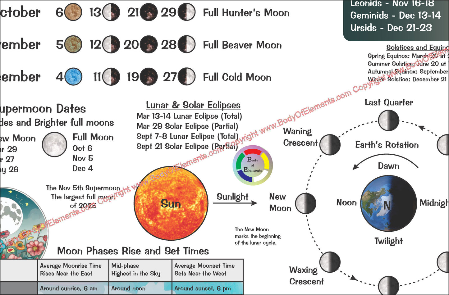 Moon Phases and Lunar Astronomy Calendar Folded