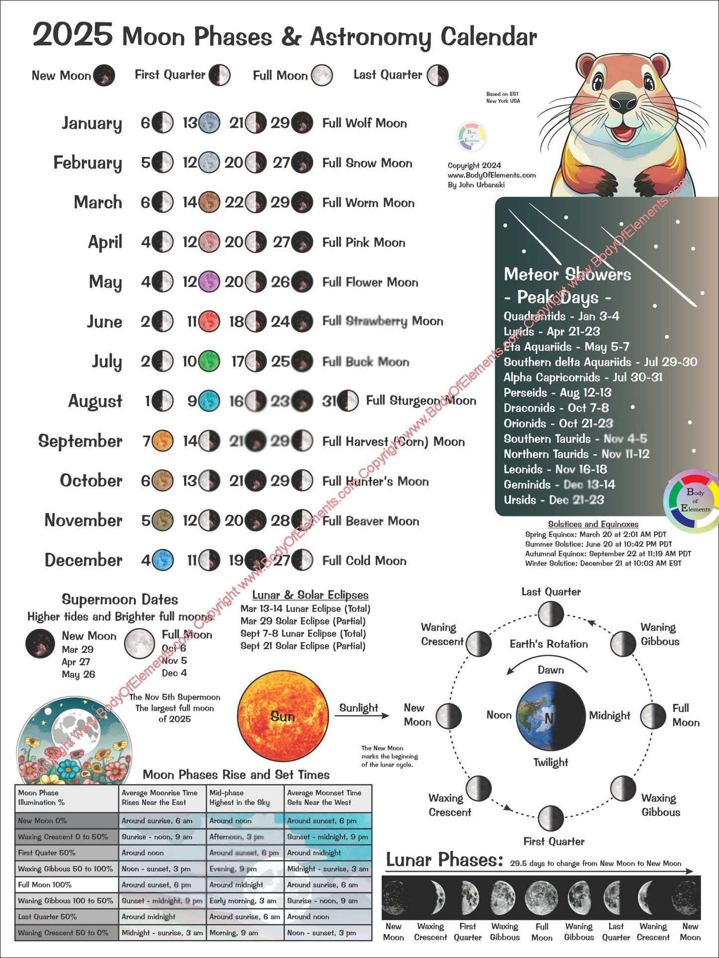 Moon Phases and Lunar Astronomy Calendar Folded