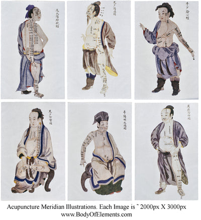 Acupuncture Vintage Meridian Illustrations Digital Prints Download