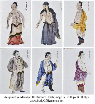 Acupuncture Vintage Meridian Illustrations Digital Prints Download