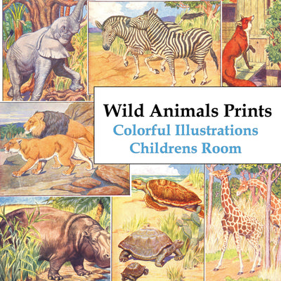 Wild Animals of Africa Ephemera Digital Prints Children's Room Wall Art Download