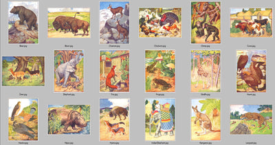 Wild Animals of Africa Ephemera Digital Prints Children's Room Wall Art Download
