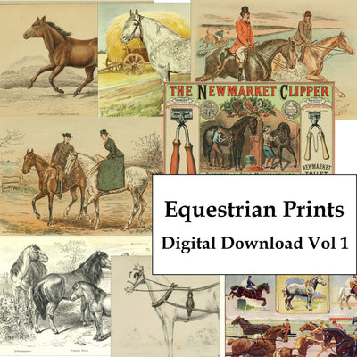 Horse Equestrian Vintage Horseback Riding Ephemera Digital Print Download 1