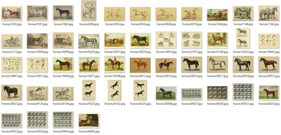 Horse Equestrian Vintage Horseback Riding Ephemera Digital Print Download
