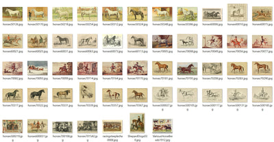 Horse Equestrian Vintage Horseback Riding Ephemera Digital Print Download 1