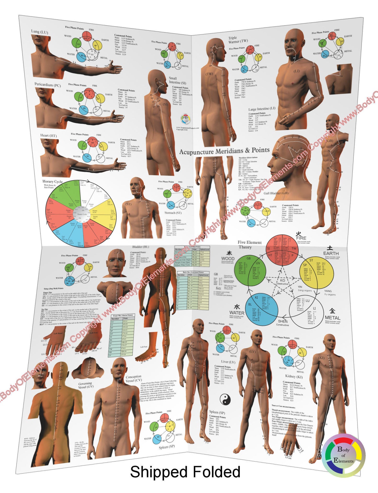 Acupuncture Meridian Points and Pathways Poster 18" X 24" Folded