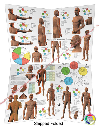 Acupuncture Meridian Points and Pathways Poster 18" X 24" Folded