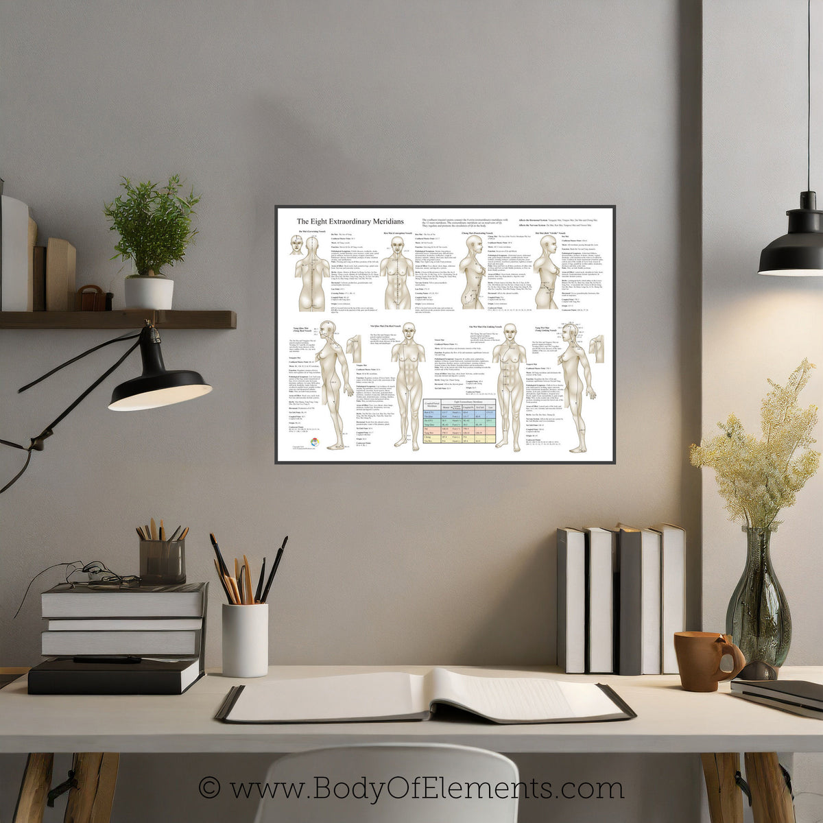 Extra Meridians The Eight Extraordinary Meridians Poster – Body of Elements