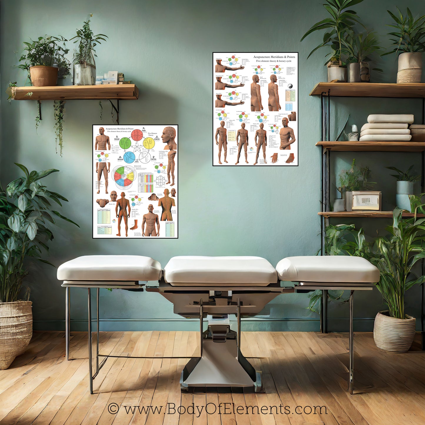 Acupuncture clinic wall chart art