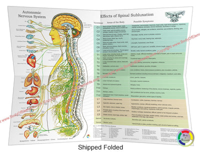 ANS and Effects of Subluxation Poster 18 X 24 Folded