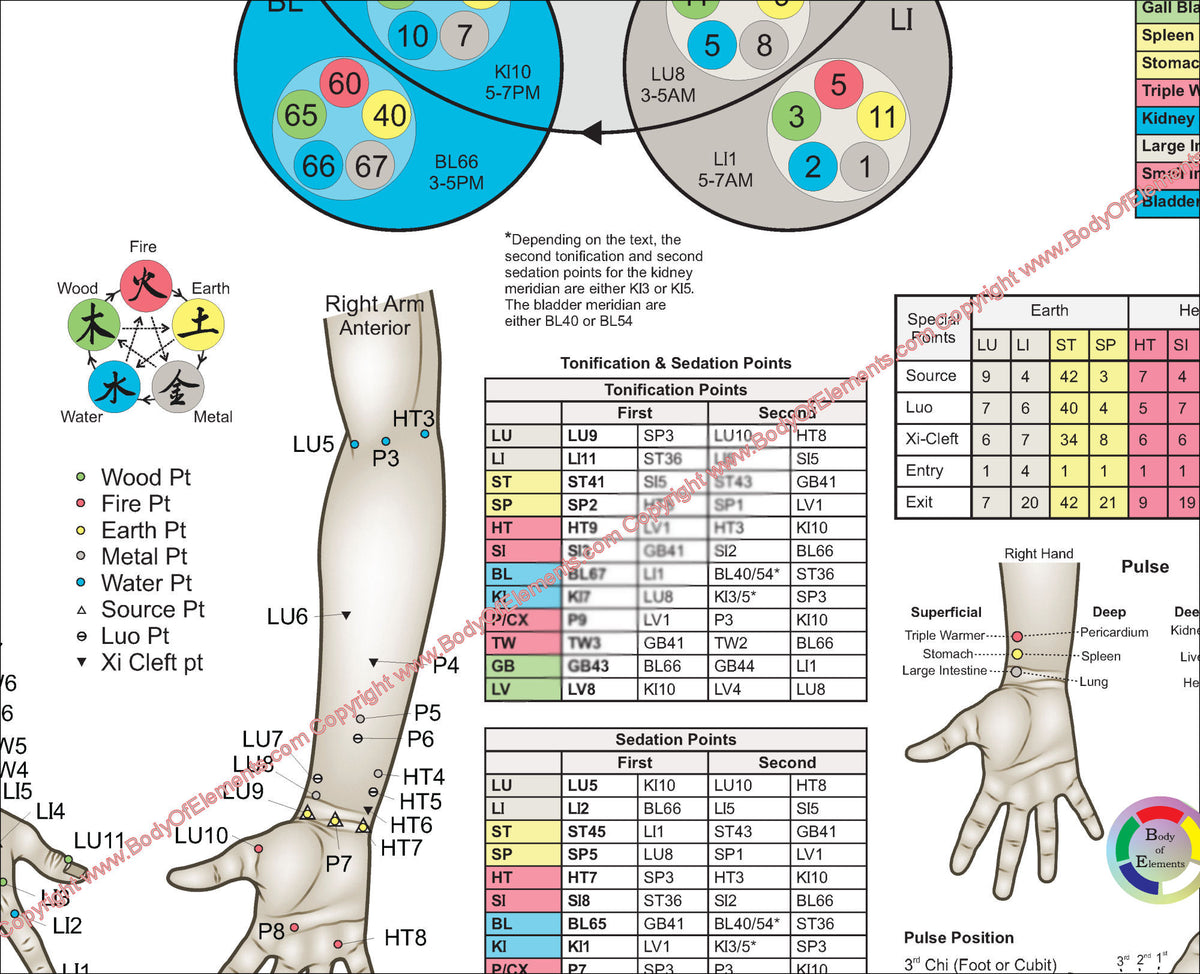 Body Original Point Applied Kinesiology Chiropractic Acupuncture Poster – Body of Elements