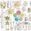 Applied kinesiology chiropractic acupuncture poster