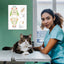 veterinary clinic cat tooth numbering system chart