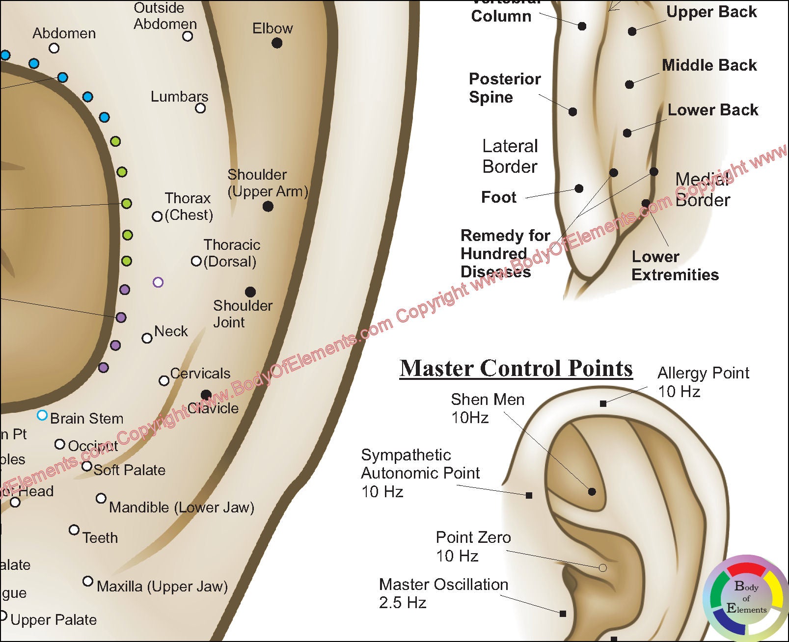 Auricular ear acupuncture chart