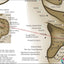 Ear acupuncture point locations poster