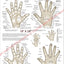 Chinese Korean hand acupuncture chart