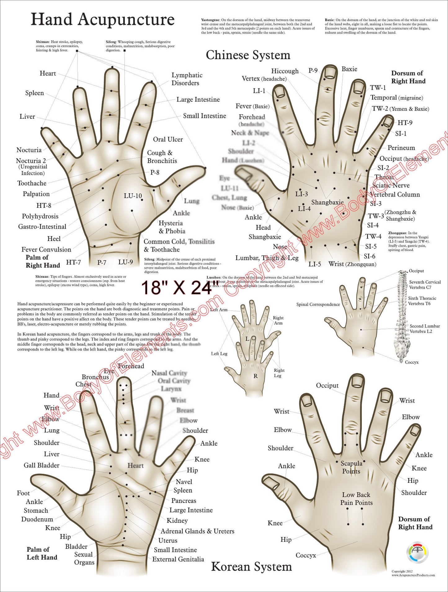 Chinese Korean hand acupuncture chart