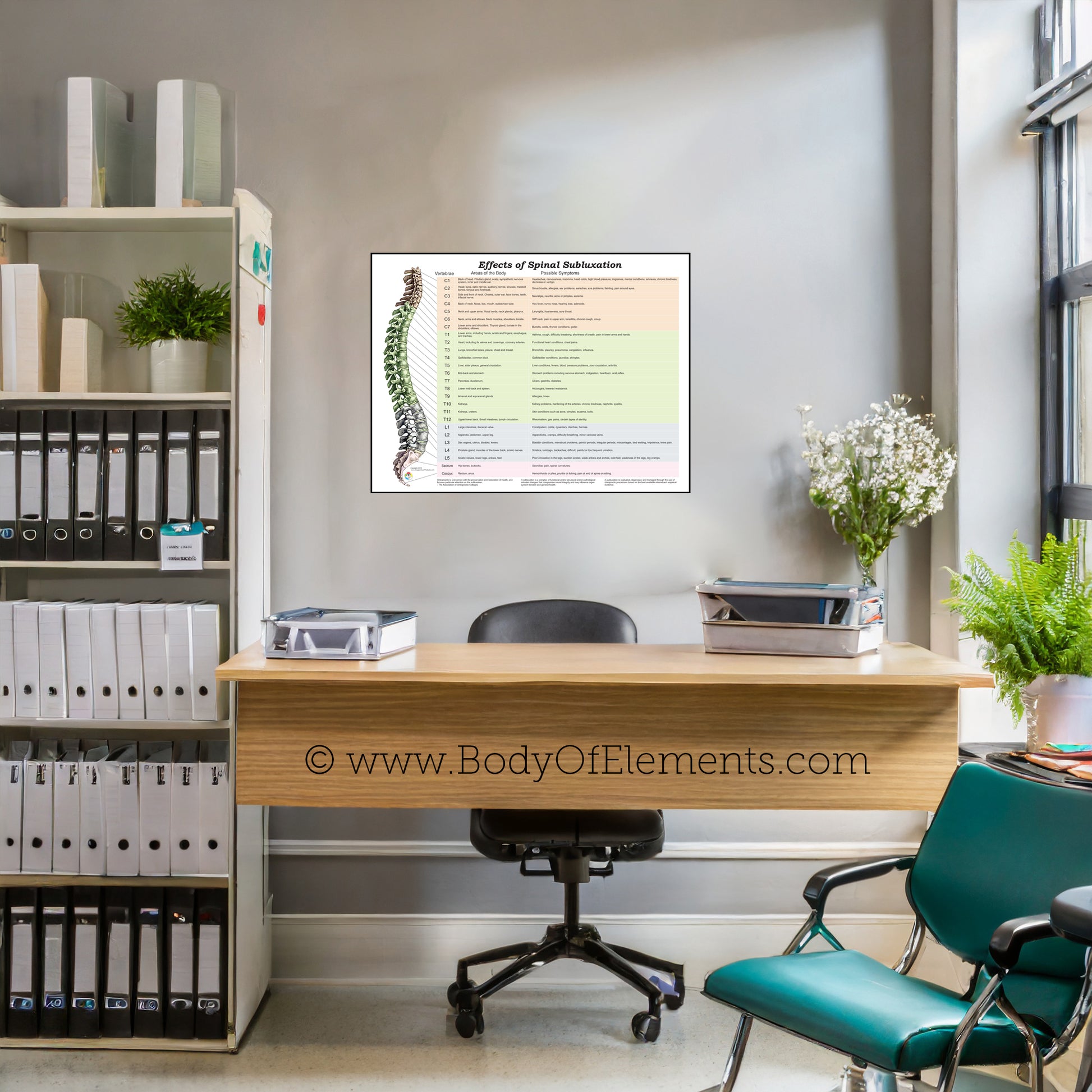 Chiropractic clinic wall art subluxation chart