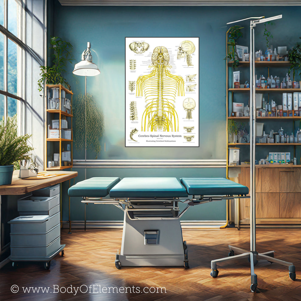 Spinal Nerves and Subluxations Poster – Body of Elements