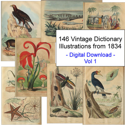 Natural History Dictionary Illustrations Digital Print Download 1