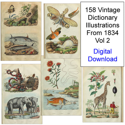 Natural History Dictionary Illustrations Digital Print Download 2