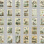 Natural History Dictionary Illustrations Digital Print Download 2