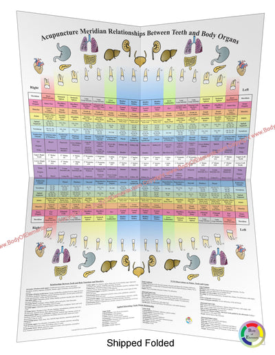 Acupuncture Meridian Dental Poster Foldout