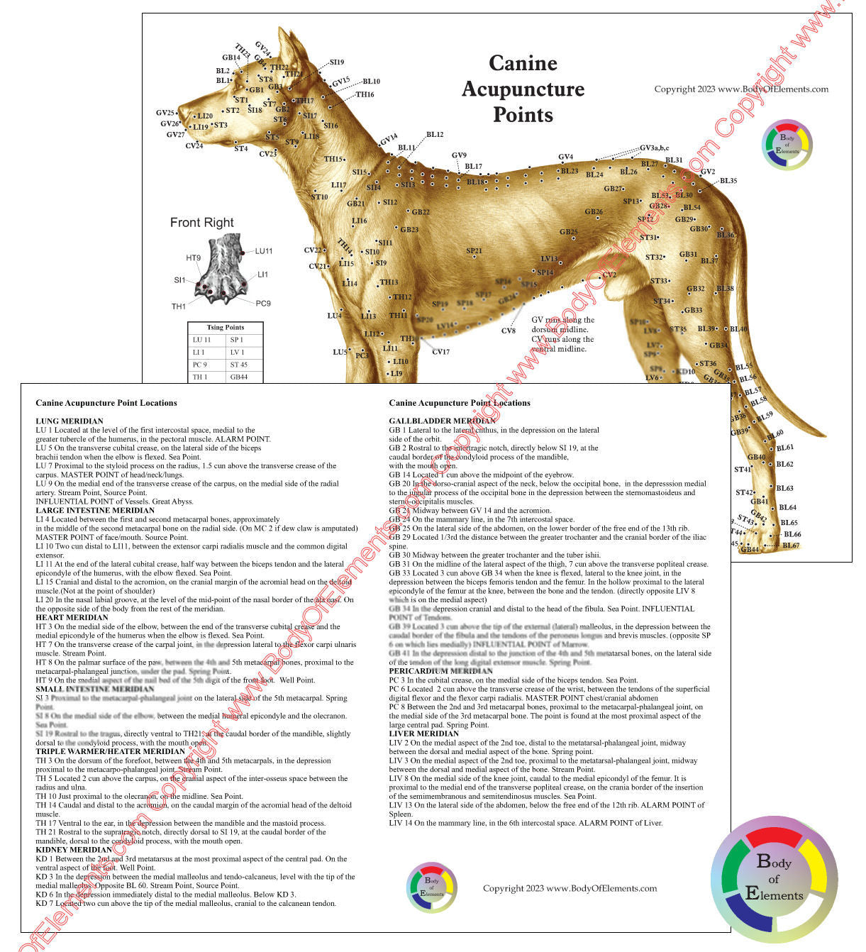 Dog acupuncture meridian point locations chart