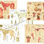 Dog anatomical chart set