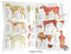 Dog Anatomy Poster 18" X 24" Folded