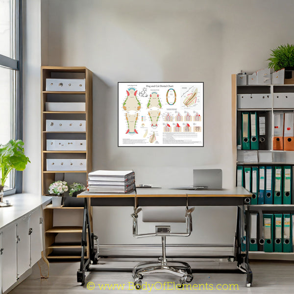 Dog and Cat Veterinary Dental Poster 18" X 24" Body of Elements