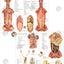 Dog Anatomy Study Charts 8.5" X 11"