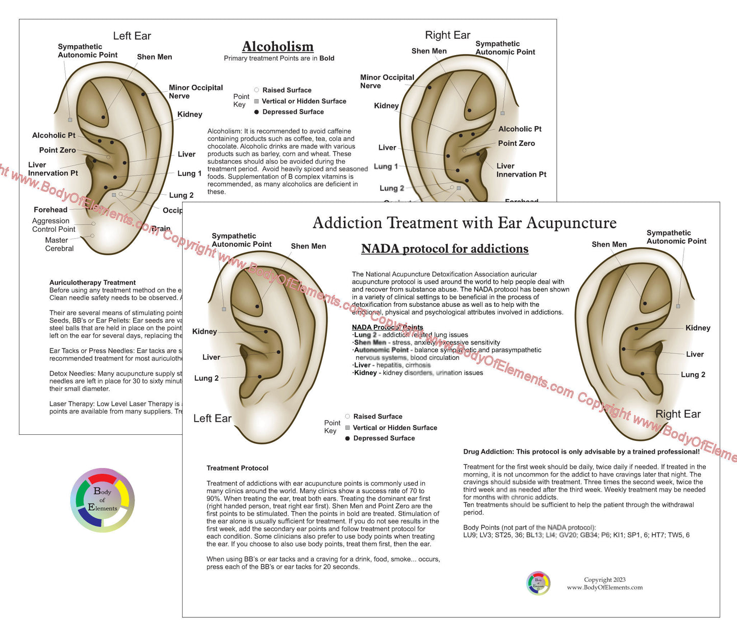 Smoking Cessation Ear Acupuncture Point Chart 8.5" X 11"