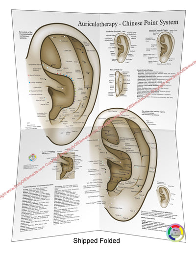 Chinese System of Auricular Ear Acupuncture Poster Folded