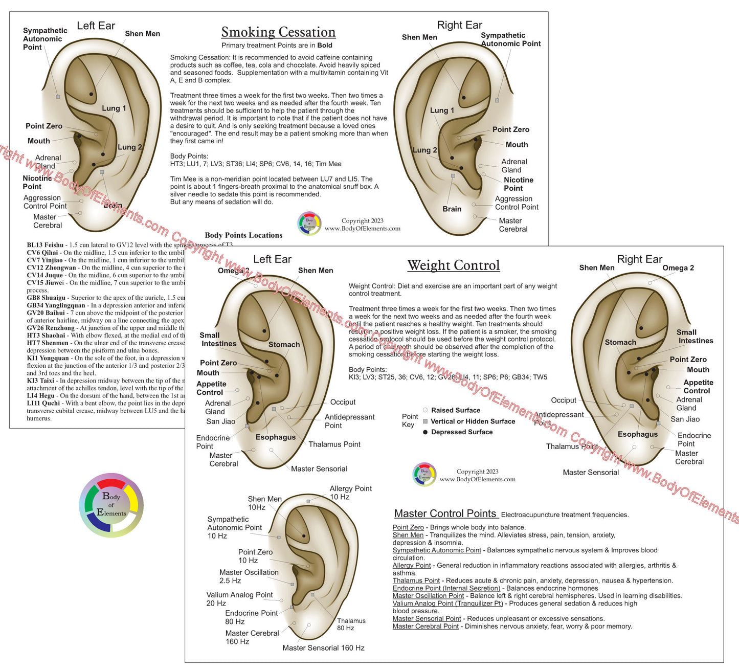 Smoking Cessation Ear Acupuncture Point Chart 8.5" X 11"