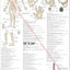 Extraordinary acupuncture point locations poster