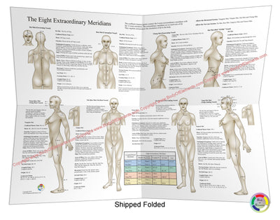 The Eight Extraordinary Meridians Poster Folded