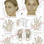 Acupressure Points Face Hand Feet Poster